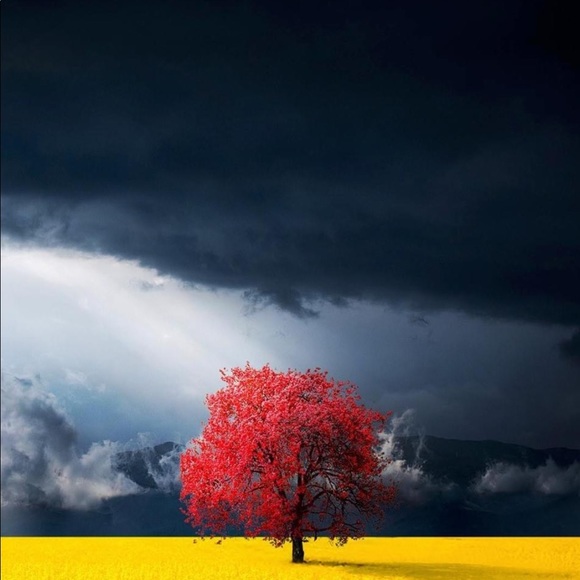 π - Picture 7 of 16